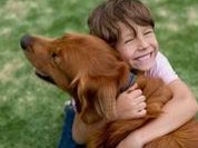 第三代试管婴儿选择费用，第三代试管流程介绍