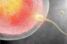 子宫内膜增生是个啥？影响试管婴儿怀孕吗？