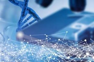 厦门有开展三代试管婴儿技术的医院吗？